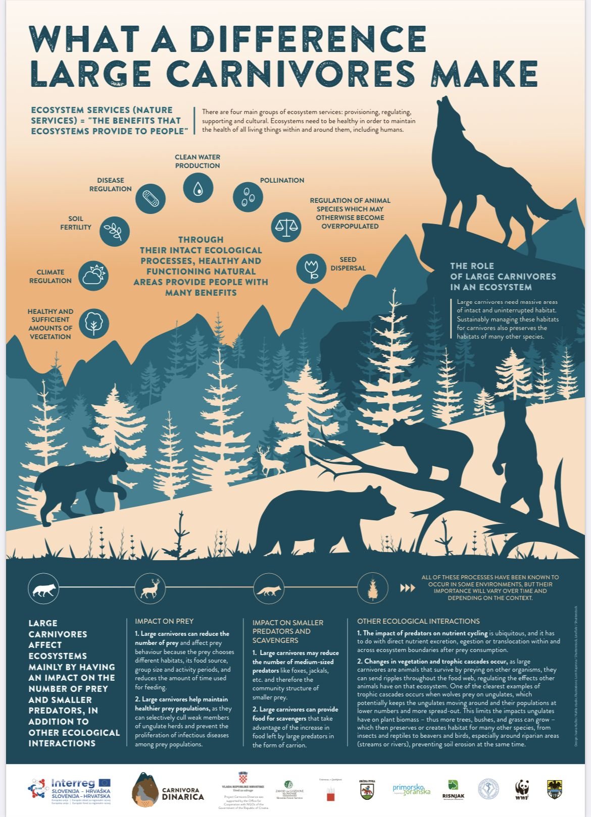 Presentations - Infographics sample 5